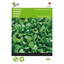 Spinazie Breedblad Scherpzaad