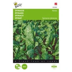 Spinazie Nores 15 G - Spinacia Oleracea