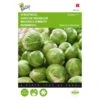 Spruitkool Topline F1 Hybride - Brassica Oleracea