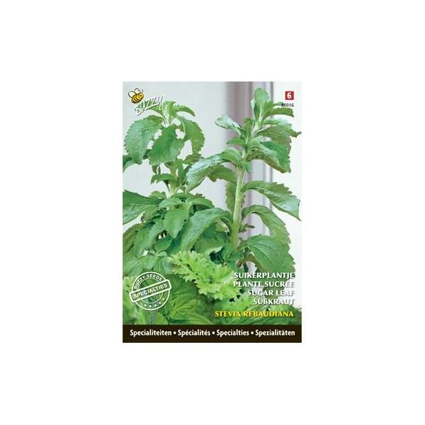 Stevia rebaudiana - suikerplantje (special) Stevia Rebaudiana - Suikerplantje (special) -Winkel Voor Plantenzaden En Meststoffen stevia suikerplantje 1484054515 1 600