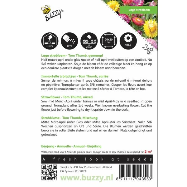 Strobloem - Helichrysum bracteatum Strobloem - Helichrysum Bracteatum -Winkel Voor Plantenzaden En Meststoffen strobloem helichrysum bracteatum 1646840328 372 600