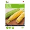 Suikermaïs Tasty Sweet F1 - Zea Mays