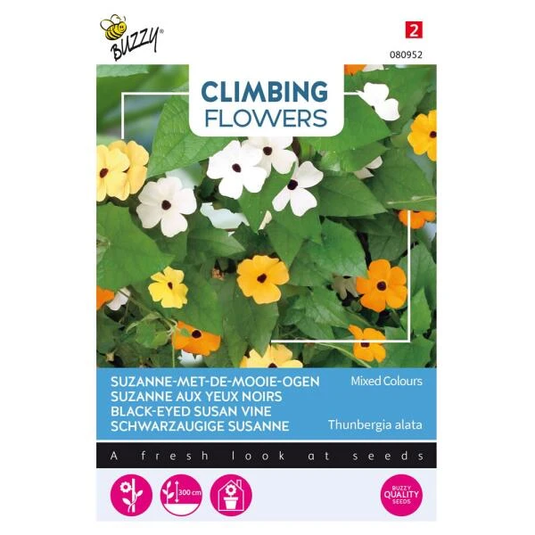 Suzanne met de mooie ogen - Thunbergia alata (klimmer) Suzanne Met De Mooie Ogen - Thunbergia Alata (klimmer) -Winkel Voor Plantenzaden En Meststoffen suzanne met de mooie ogen thunbergia alata klimmer 1646840343 681 600