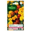 Tagetes Dubbel Dwerg Gemengd - Tagetes Patula