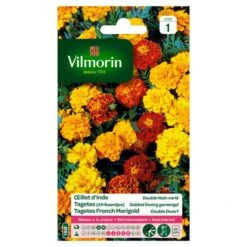 Tagetes Dubbel Dwerg Gemengd - Tagetes Patula