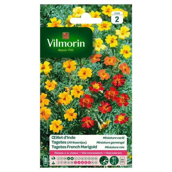 Tagetes Miniature Gemengd - Tagetes patula Tagetes Miniature Gemengd - Tagetes Patula -Winkel Voor Plantenzaden En Meststoffen tagetes miniature gemengd tagetes patula 1646839524 96 600