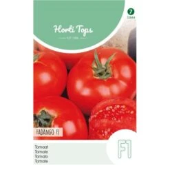 Tomaat Fadango (Celebration) F1 - Lycopersicon Lycopersicum