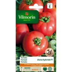 Tomaat Dona HF1