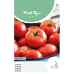 Tomaten Moneymaker - Lycopersicon Lycopersicum
