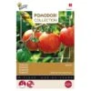 Tomaten Pomodori Tigerella - Lycopersicon Esculentum