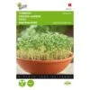 Tuinkers Gewone - Lepidium Sativum