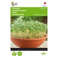 Tuinkers Gewone - Lepidium Sativum