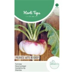 Tuinraap Milanese Witte Roodkop - Brassica Rapa