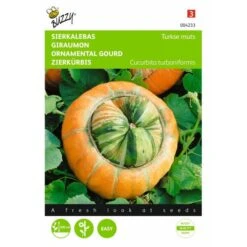 Turkse Muts - Cucurbita Maxima Turbaniformis