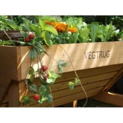 Vegtrug Verhoogde Kweektafel - 1 × 0,8 × 0,8 M -Winkel Voor Plantenzaden En Meststoffen vegtrug 1 m 1484054491 4 600