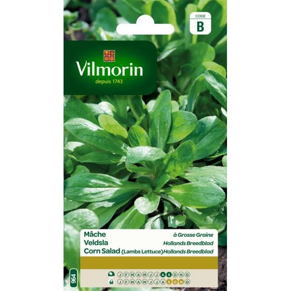 Veldsla Hollands breedblad Veldsla Hollands Breedblad -Winkel Voor Plantenzaden En Meststoffen veldsla hollands breedblad 1646839512 21 600