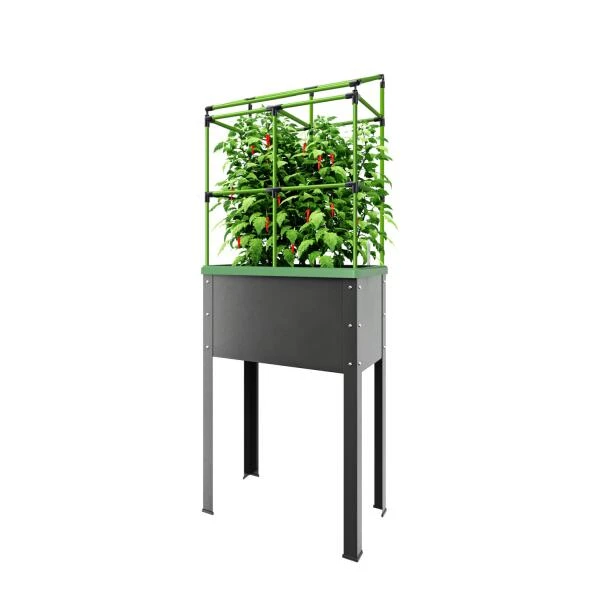 Verhoogd kweekbak City jungle Heidelberg met klimframe Verhoogd Kweekbak City Jungle Heidelberg Met Klimframe -Winkel Voor Plantenzaden En Meststoffen verhoogd plantenbed city jungle heidelberg 1677506551 1 600