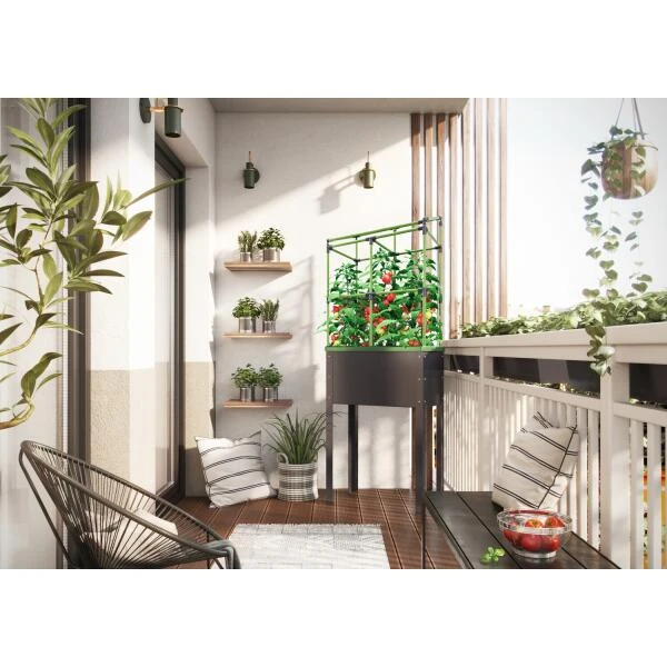 Verhoogd kweekbak City jungle Heidelberg met klimframe Verhoogd Kweekbak City Jungle Heidelberg Met Klimframe -Winkel Voor Plantenzaden En Meststoffen verhoogd plantenbed city jungle heidelberg 1677506551 2 600