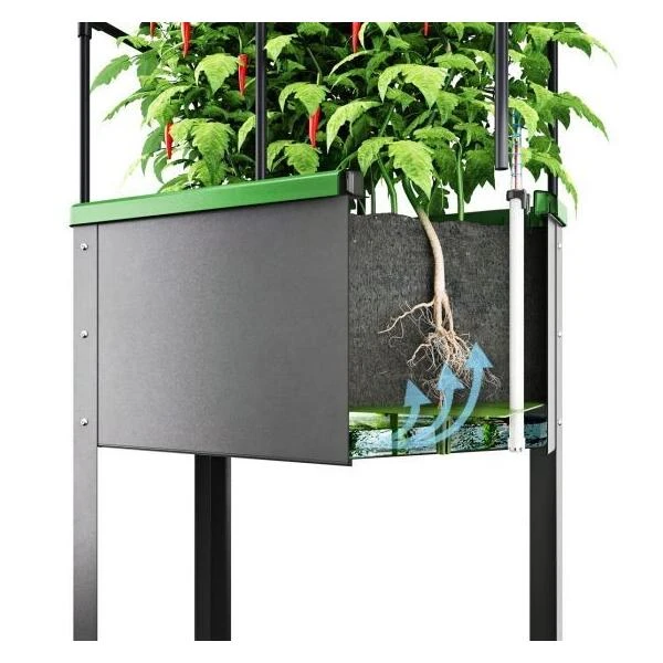 Verhoogd kweekbak City jungle Heidelberg met klimframe Verhoogd Kweekbak City Jungle Heidelberg Met Klimframe -Winkel Voor Plantenzaden En Meststoffen verhoogd plantenbed city jungle heidelberg 1677506551 3 600