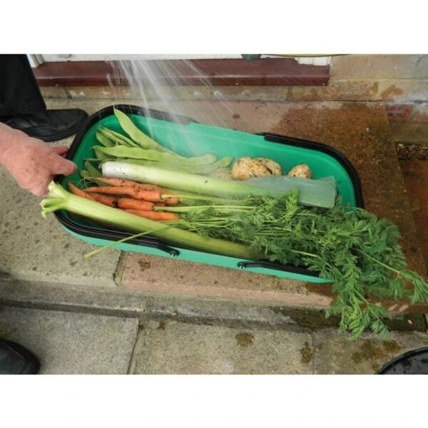 Verzamelmand - groente en fruit Verzamelmand - Groente En Fruit -Winkel Voor Plantenzaden En Meststoffen verzamelmand groente en fruit 1511169935 3 600