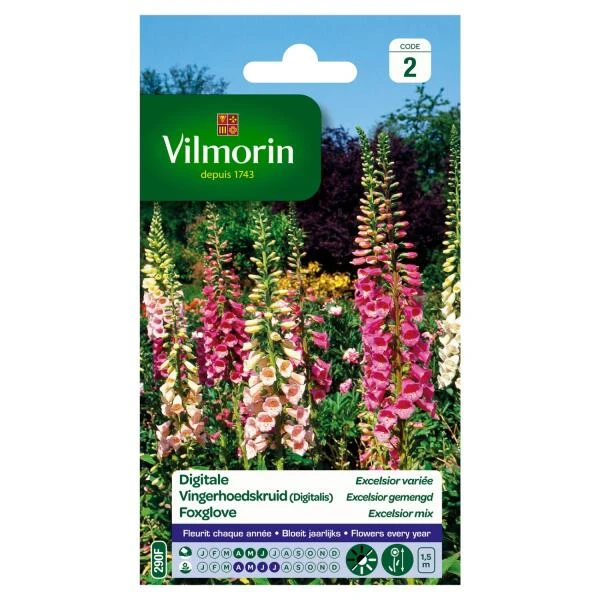 Vingerhoedskruid Digitalis Excelsior Gemengd - Digitalis purpurea Vingerhoedskruid Digitalis Excelsior Gemengd - Digitalis Purpurea -Winkel Voor Plantenzaden En Meststoffen vingerhoedskruid digitalis excelsior gemengd digitalis purpurea 1646839548 243 600