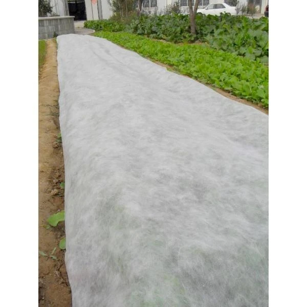 Rol vliesdoek 2 × 100 m - 19 g/m² Rol Vliesdoek 2 × 100 M - 19 G/m² -Winkel Voor Plantenzaden En Meststoffen vliesdoek 100 x 2 m 1484062649 1 600