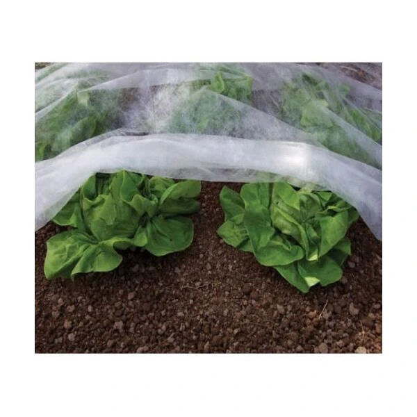 Vliesdoek - 8 × 1,5 m - 17 g/m² Vliesdoek - 8 × 1,5 M - 17 G/m² -Winkel Voor Plantenzaden En Meststoffen vliesdoek 15 x 8 m 1484056511 1 600