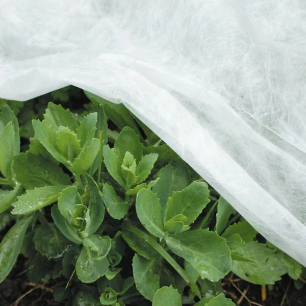 Vliesdoek - 5 × 1,6 meter - 17 g/m² Vliesdoek - 5 × 1,6 Meter - 17 G/m² -Winkel Voor Plantenzaden En Meststoffen vliesdoek 5 x 16 m 1484053008 1 600