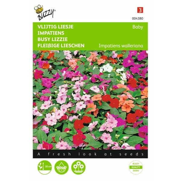 Vlijtig liesje Nana Baby - Impatiens walleriana Vlijtig Liesje Nana Baby - Impatiens Walleriana -Winkel Voor Plantenzaden En Meststoffen vlijtig liesje nana baby impatiens walleriana 1646840328 375 600