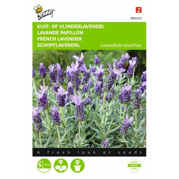 Vlinderlavendel Sancho Panza - Lavandula stoechas Vlinderlavendel Sancho Panza - Lavandula Stoechas -Winkel Voor Plantenzaden En Meststoffen vlinderlavendel sancho panza lavandula stoechas 1646840345 702 600