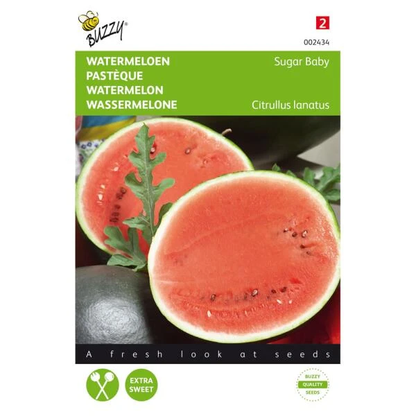 Watermeloen Sugar Baby - Citrullus lanatus Watermeloen Sugar Baby - Citrullus Lanatus -Winkel Voor Plantenzaden En Meststoffen watermeloen sugar baby citrullus lanatus 1646840317 125 600