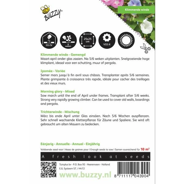 Winde purper - Ipomoea purpurea Winde Purper - Ipomoea Purpurea -Winkel Voor Plantenzaden En Meststoffen winde purper ipomoea purpurea 1646840328 378 600