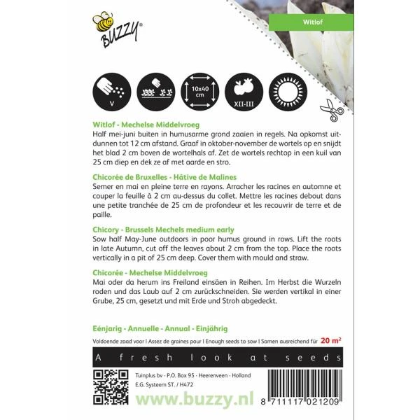 Witlof Mechelse Middelvroeg - Cichorium intybus Witlof Mechelse Middelvroeg - Cichorium Intybus -Winkel Voor Plantenzaden En Meststoffen witlof mechelse middelvroeg cichorium intybus 1646840315 82 600