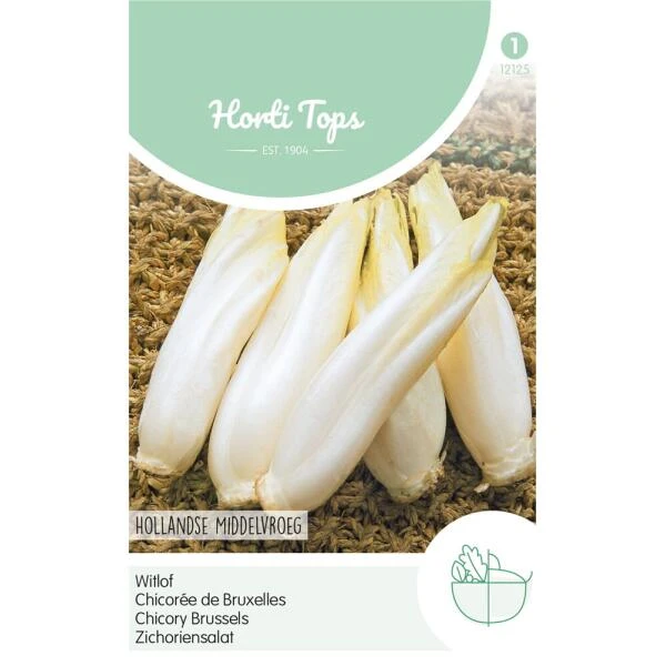 Witlof Hollandse Middelvroeg - Cichorium intybus Witlof Hollandse Middelvroeg - Cichorium Intybus -Winkel Voor Plantenzaden En Meststoffen witlof middelvroeg edellof cichorium intybus 1646840351 846 600