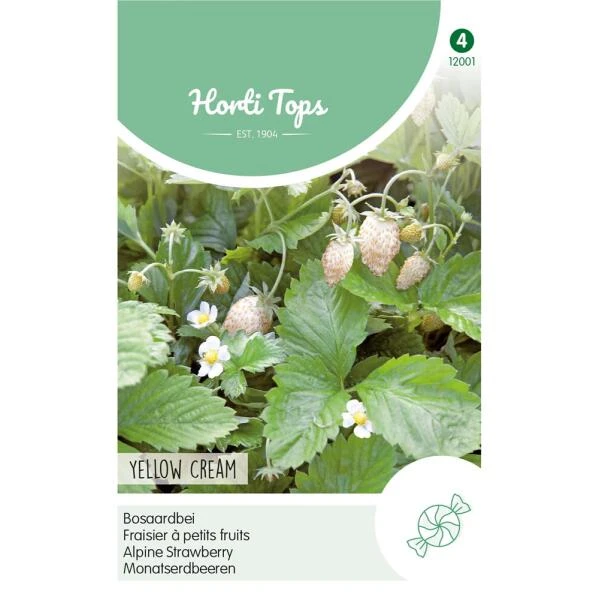 Witte bosaardbei - Fragaria Yellow Cream Witte Bosaardbei - Fragaria Yellow Cream -Winkel Voor Plantenzaden En Meststoffen witte bosaardbei fragaria yellow cream 1646840344 690 600