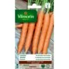 Wortel Amsterdamse Bak Amfine - Daucus Carota