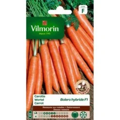 Wortel Boléro F1 - Daucus Carota