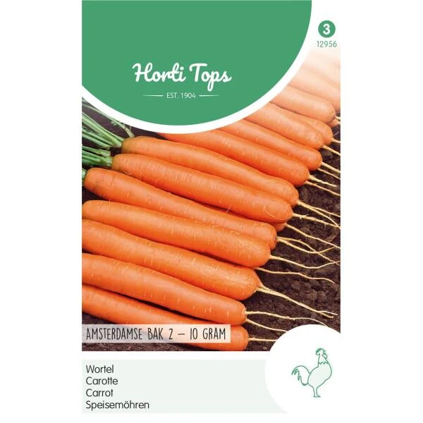 Wortelen Amsterdamse Bak 2 - Daucus carota Wortelen Amsterdamse Bak 2 - Daucus Carota -Winkel Voor Plantenzaden En Meststoffen wortelen amsterdam daucus carota 1646840356 958 600