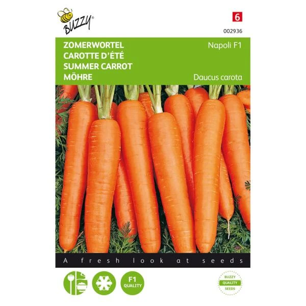 Zomerwortel Napoli F1 - Daucus carota Zomerwortel Napoli F1 - Daucus Carota -Winkel Voor Plantenzaden En Meststoffen zomerwortel napoli f1 daucus carota 1646840376 1410 600