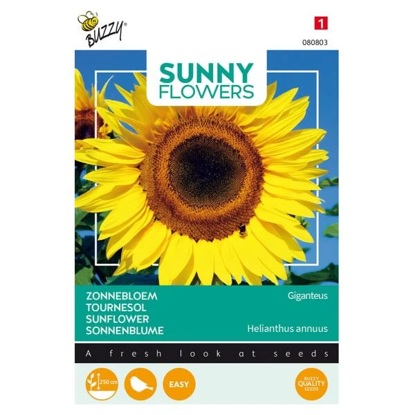 Zonnebloem Gigant - Helianthus annuus (Sunflowers) Zonnebloem Gigant - Helianthus Annuus (Sunflowers) -Winkel Voor Plantenzaden En Meststoffen zonnebloem gigant helianthus annuus sunflowers 1646840321 227 600