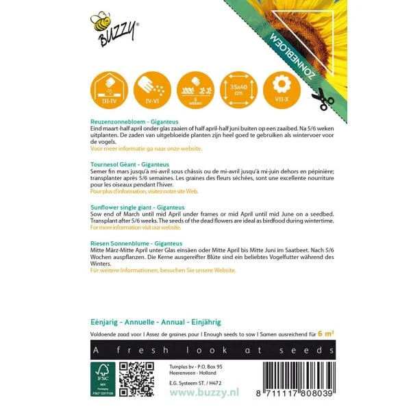 Zonnebloem Gigant - Helianthus annuus (Sunflowers) Zonnebloem Gigant - Helianthus Annuus (Sunflowers) -Winkel Voor Plantenzaden En Meststoffen zonnebloem gigant helianthus annuus sunflowers 1646840321 228 600