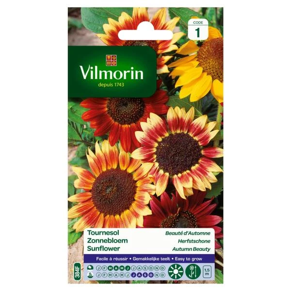 Zonnebloem Herfstschone - Helianthus annuus Zonnebloem Herfstschone - Helianthus Annuus -Winkel Voor Plantenzaden En Meststoffen zonnebloem herfstschone helianthus annuus 1646839549 249 600