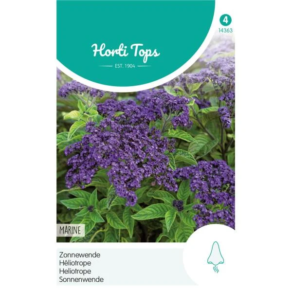 Zonnewende Marine - Heliotropium peruvianum Zonnewende Marine - Heliotropium Peruvianum -Winkel Voor Plantenzaden En Meststoffen zonnewende marine heliotropium peruvianum 1646840362 1100 600