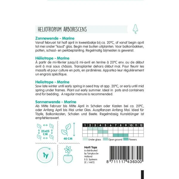 Zonnewende Marine - Heliotropium peruvianum Zonnewende Marine - Heliotropium Peruvianum -Winkel Voor Plantenzaden En Meststoffen zonnewende marine heliotropium peruvianum 1646840362 1101 600